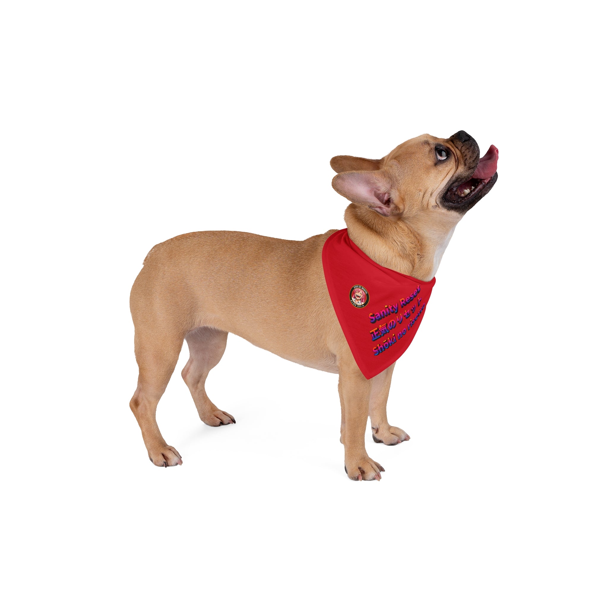 LIMITED LAUNCH DROP Sanity Reset Pet Bandana — Soft-Spun Polyester, 2 Sizes, One-Sided Print