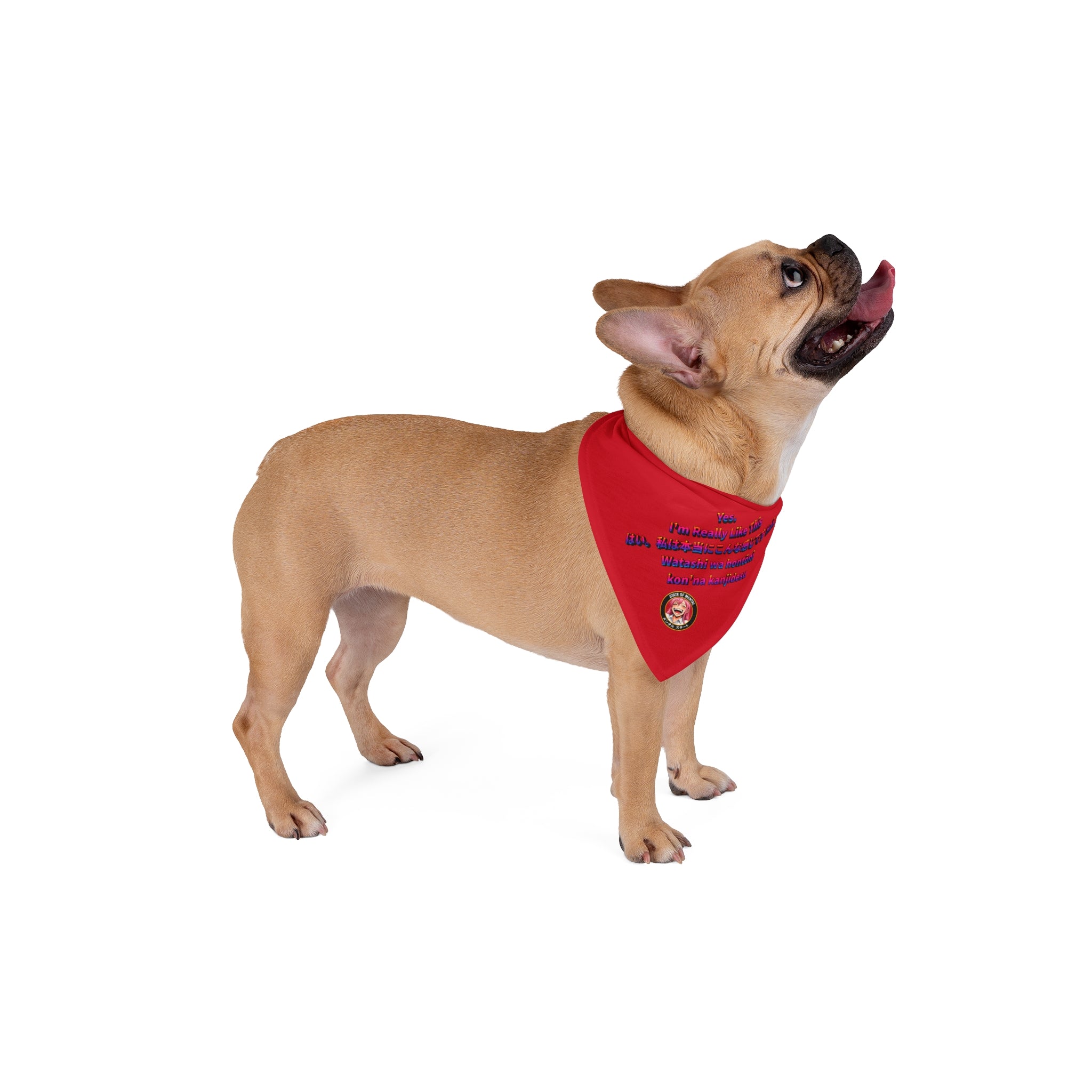 LIMITED LAUNCH DROP Yes. I’m Really Like This Pet Bandana — Soft-Spun Polyester, 2 Sizes, One-Sided Print